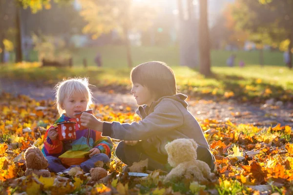 Beautiful toddler child and his older brother, boys, drinking te — Stock Photo, Image