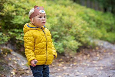 Yüzü boyalı, ormanda yürüyen tatlı sarışın çocuk.
