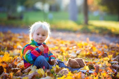 Tatlı çocuk, çocuk, parkta yapraklarla oynuyor.