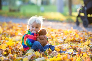 Tatlı çocuk, çocuk, parkta yapraklarla oynuyor.