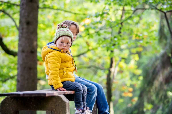 Děti, bratři, turistika v lese na podzim, procházky a — Stock fotografie
