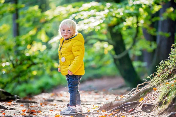 Retrato de niño pequeño, caminando por un pequeño sendero forestal en su —  Fotos de Stock