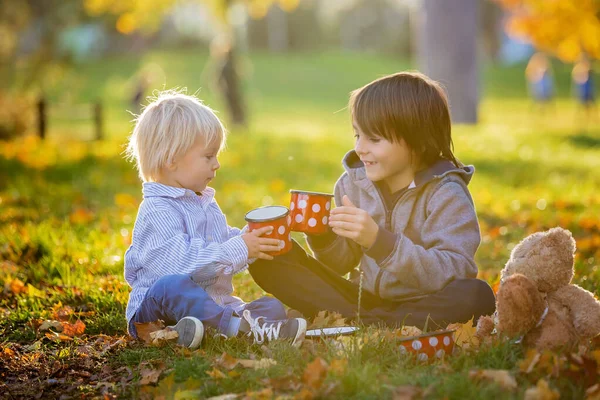 Mooi peuter kind en zijn oudere broer, jongens, drinken te — Stockfoto