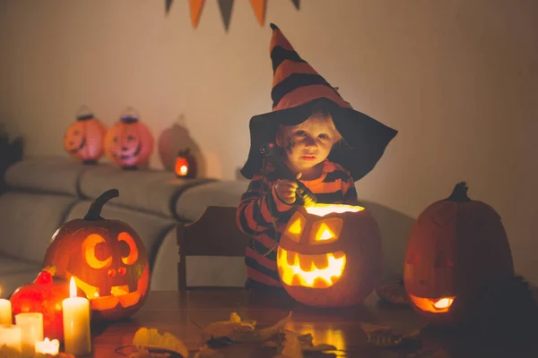 Children, boy brothers, playing with carved pumpkin at home on H — Stock Photo, Image