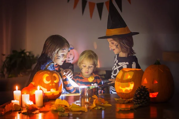 Children, boy brothers, playing with carved pumpkin at home on H — Stock Photo, Image