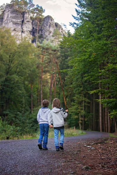 Crianças, irmãos, caminhadas na floresta no dia de outono, caminhadas e — Fotografia de Stock
