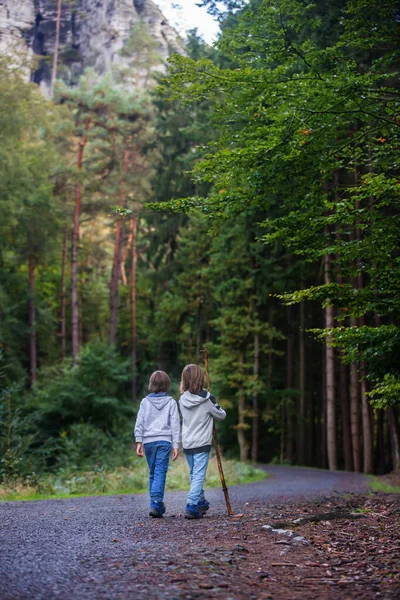 Niños, hermanos, senderismo en el bosque en el día de otoño, caminar y —  Fotos de Stock