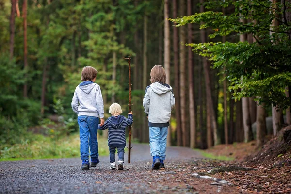 Kinder, Brüder, Wandern im Wald am Herbsttag, Wandern und — Stockfoto