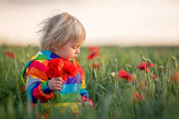 Süßes Kind Blonder Junge Spielt Mohnfeld Einem Leicht Bewölkten Tag — Stockfoto