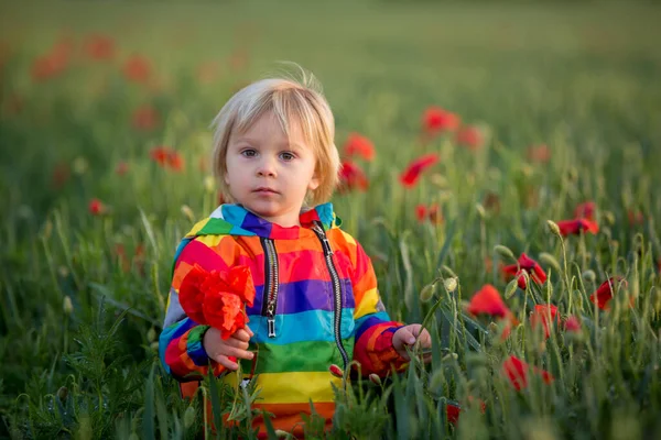 Sweet Child Blond Boy Playing Poppy Field Partly Cloudy Day — Stock Photo, Image