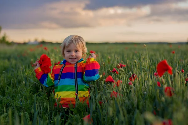 Dulce Niño Niño Rubio Jugando Campo Amapola Día Parcialmente Nublado —  Fotos de Stock