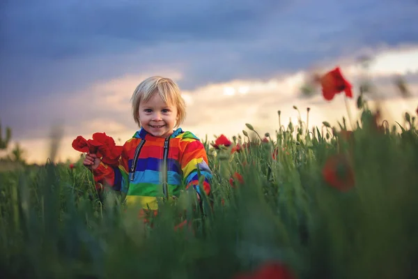 Dulce Niño Niño Rubio Jugando Campo Amapola Día Parcialmente Nublado —  Fotos de Stock