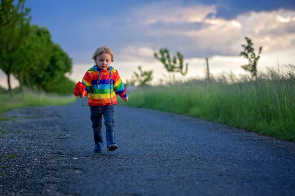 Tatlı Çocuk Sarışın Çocuk Parçalı Bulutlu Bir Günde Haşhaş Tarlasında — Stok fotoğraf