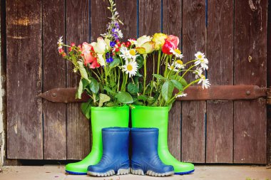 Bahçede güzel çiçekli lastik botlar.