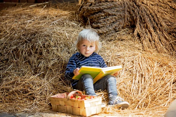 Liten Liten Blond Pojke Läser Bok Vinden Trevlig Atmosfär Jordgubbar — Stockfoto