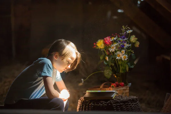 Menino Loiro Criança Lendo Livro Sótão Atmosfera Agradável Flores Morangos — Fotografia de Stock