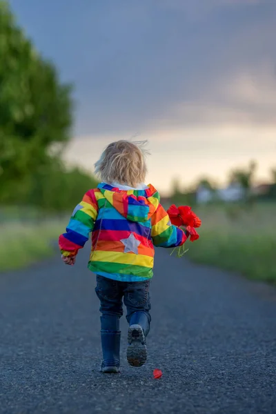 Dulce Niño Niño Rubio Jugando Campo Amapola Día Parcialmente Nublado — Foto de Stock