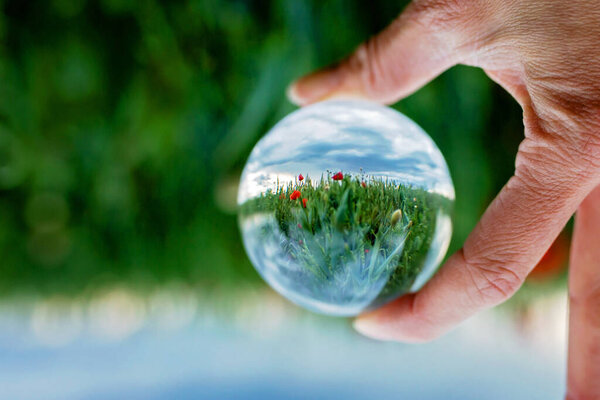 Sweet child, blond boy, playing in poppy field before storm, dramatic sky, enjoying fresh spring evening