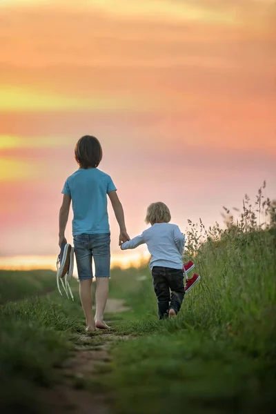 幸せな子供たち 男の子の兄弟 手にスニーカーのペアを保持し 田舎道 裸足で歩く — ストック写真