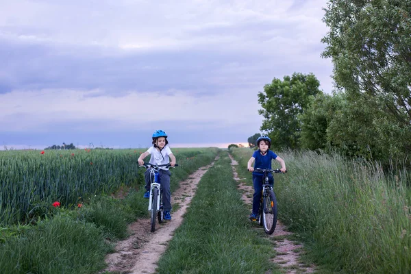 Children Riding Bikes Rural Path Summer Evening — Stock Photo, Image