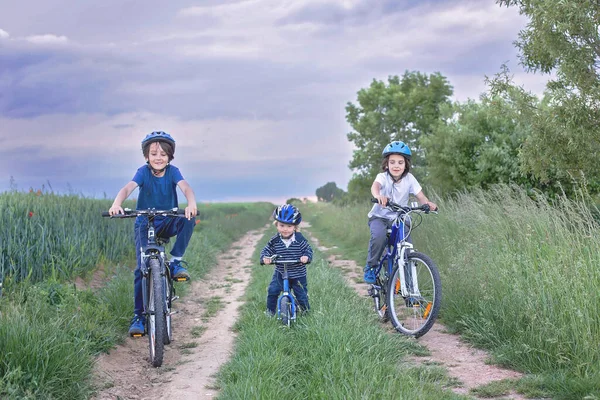 Children Riding Bikes Rural Path Summer Evening — Stock Photo, Image