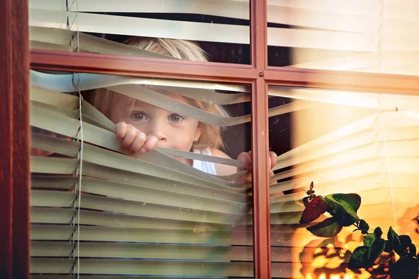 Niño Niño Pequeño Mirando Por Ventana Afuera — Foto de Stock