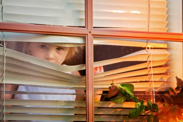 Kind Peuter Kijkend Door Het Raam Buiten — Stockfoto