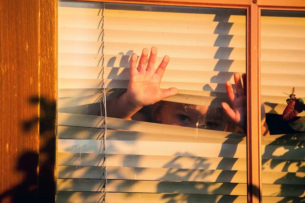 Kind Kleinkind Blick Durch Fenster Nach Draußen — Stockfoto