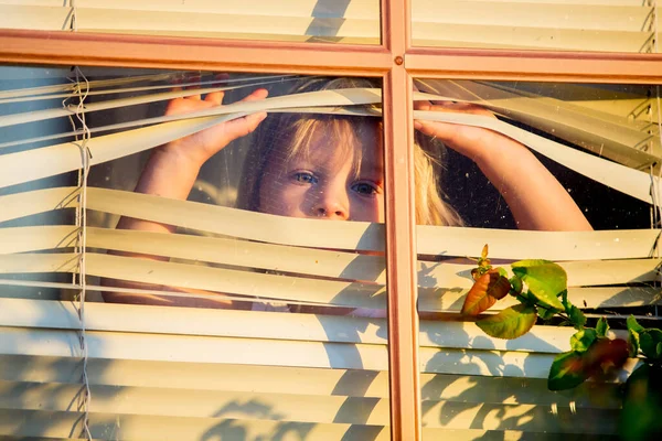 Kind Peuter Kijkend Door Het Raam Buiten — Stockfoto