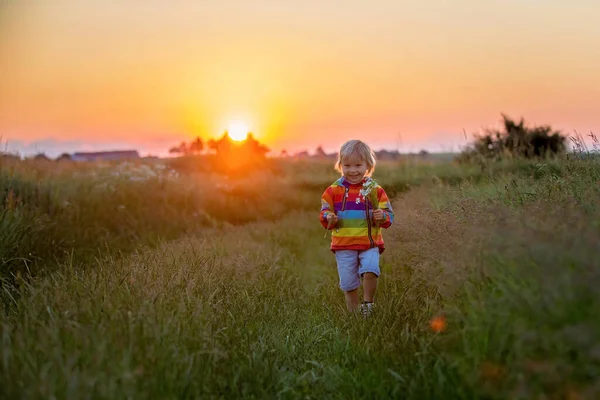 Sarışın Çocuk Küçük Çocuk Gün Batımında Tarlada Koşuyor Elinde Kır — Stok fotoğraf