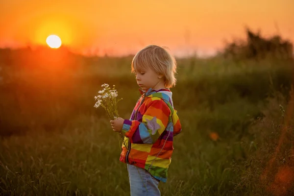 Blondes Kind Kleiner Junge Der Bei Sonnenuntergang Auf Einem Feld — Stockfoto
