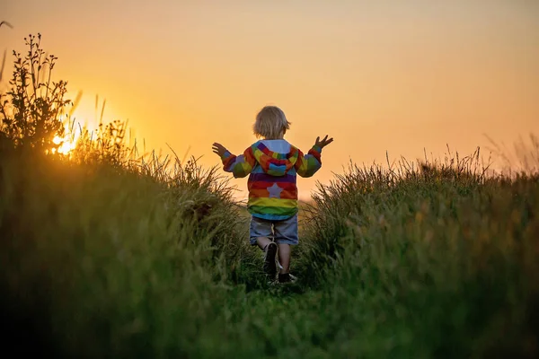 Biondo Bambino Bambino Bambino Correre Campo Tramonto Tenendo Fiori Selvatici — Foto Stock