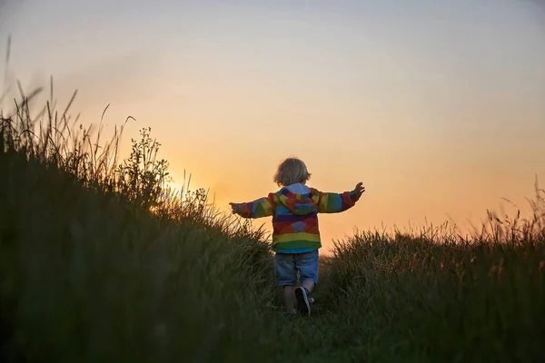 Блондинка Хлопчик Малюк Біжить Полі Заході Сонця Тримаючи Дикі Квіти — стокове фото