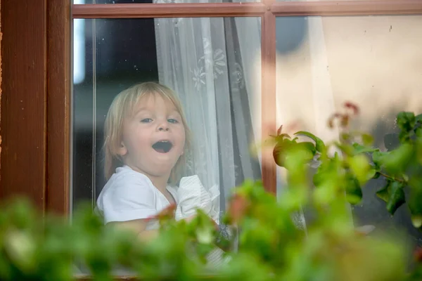 Petit Enfant Bas Âge Garçon Assis Sur Bouclier Fenêtre Regardant — Photo