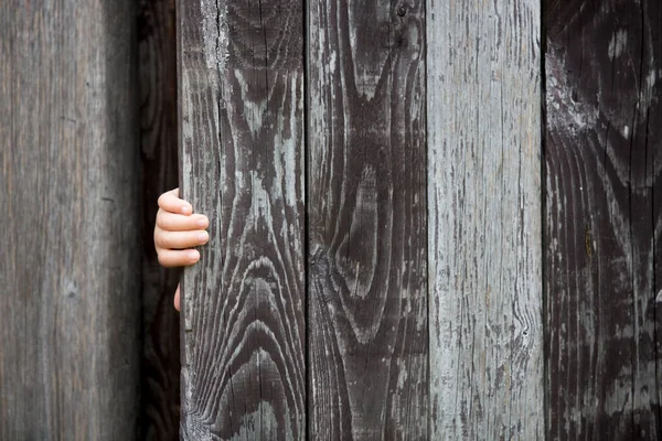 Küçük Çocuk Sarışın Çocuk Gül Tutuyor Ahşap Kapının Arkasına Saklanıyor — Stok fotoğraf