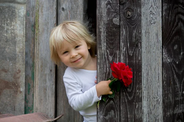 Niño Pequeño Niño Rubio Sosteniendo Rosa Escondida Detrás Puerta Madera —  Fotos de Stock