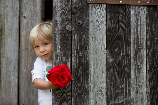 Kleines Kleinkind Blonder Junge Hält Rose Der Hand Die Sich — Stockfoto