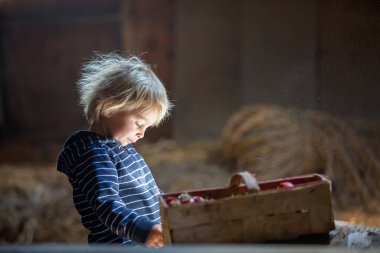 Küçük sarışın çocuk, tavan arasında kitap okuyor, atmosferi güzel, yanında çilek var.