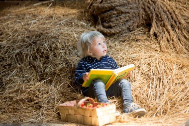 Küçük sarışın çocuk, tavan arasında kitap okuyor, atmosferi güzel, yanında çilek var.