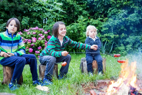 Happy Kids Roasting Sausages Campfire Evening — Stock Photo, Image