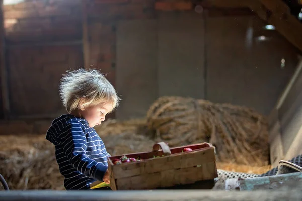Маленький Маленький Хлопчик Блондинка Читає Книгу Горищі Гарну Атмосферу Полуницю — стокове фото