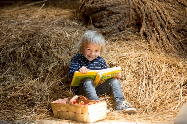 Маленький Маленький Хлопчик Блондинка Читає Книгу Горищі Гарну Атмосферу Полуницю — стокове фото