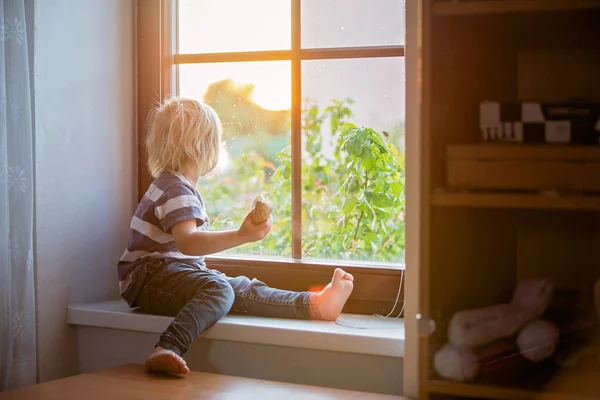 Opuštěný Malý Batole Chlapec Jíst Chleba Sedět Smutný Okně Dívat — Stock fotografie