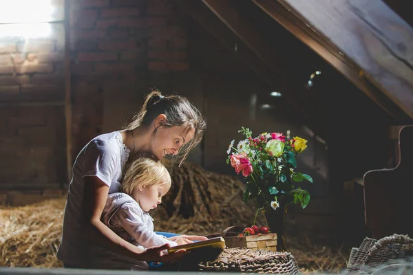 Мама Малыш Читающие Книгу Чердаке Приятная Атмосфера Цветы Клубника — стоковое фото