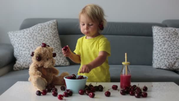 Lilla Blonda Barn Söt Pojke Äter Körsbär Med Nallar Hemma — Stockvideo