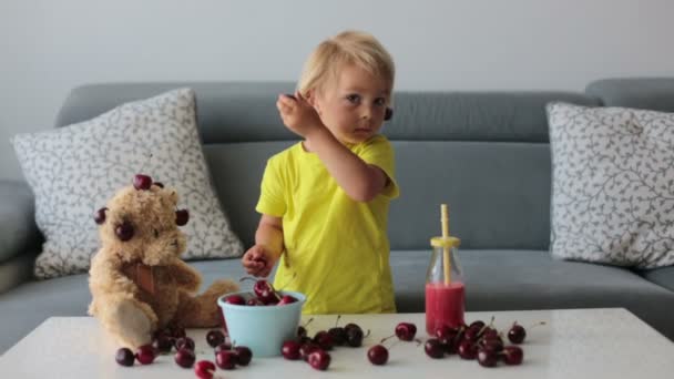 Lilla Blonda Barn Söt Pojke Äter Körsbär Med Nallar Hemma — Stockvideo