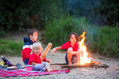 Aile piknik yapıyor ve yaz akşamları nehir kenarında kamp ateşi yakıyor.