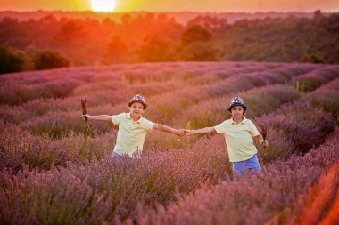 Sevimli küçük çocuk, güzel çocuk, gün batımında lavanta tarlasında oynuyor.
