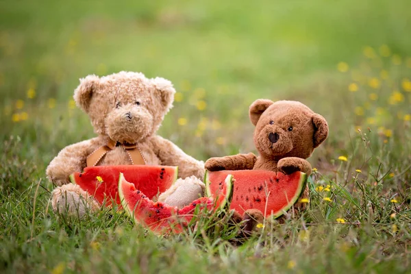 Osito Peluche Con Una Rebanada Sandía Parque —  Fotos de Stock