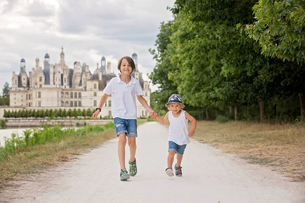 Щасливі Діти Які Гуляють Будинку Замку Чемборд Долині Луара Франції — стокове фото